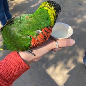 Meet your Posher, Veronica